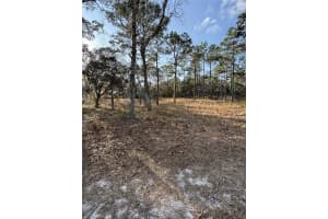 5512 PEACEFUL POINT, HOMOSASSA, FL 34446 - MLS#MFRA4639551