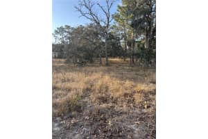 5512 PEACEFUL POINT, HOMOSASSA, FL 34446 - MLS#MFRA4639551