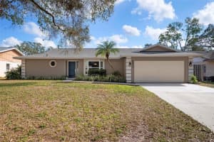 4411 VIOLET AVENUE, SARASOTA, FL 34233 Sold 03/14/25