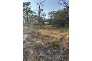 5564 PEACEFUL POINT, HOMOSASSA, FL 34446 - MLS#MFRA4639586