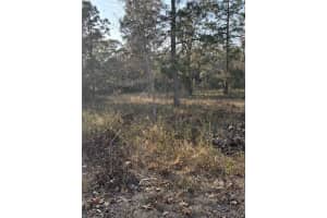 5564 PEACEFUL POINT, HOMOSASSA, FL 34446 - MLS#MFRA4639586