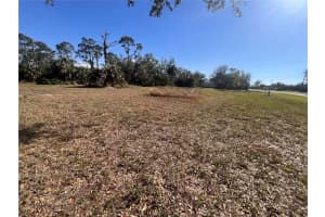 16574 CAPE HORN BOULEVARD, PUNTA GORDA, FL 33955 - MLS#MFRA4640486