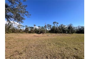 16574 CAPE HORN BOULEVARD, PUNTA GORDA, FL 33955 - MLS#MFRA4640486
