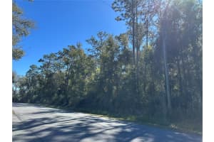 2670 FAIRWAY LOOP, CITRUS SPRINGS, FL 34434 Sold 04/03/25