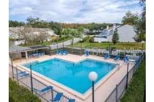 16211 RAMBLING VINE DRIVE, TAMPA, FL 33624 Sold 07/31/25