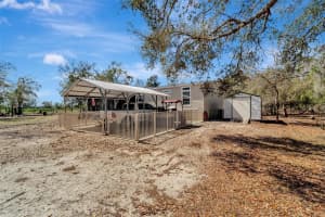 1703 ADDISON AVENUE, ARCADIA, FL 34266 - MLS#MFRA4641281