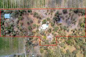 1703 ADDISON AVENUE, ARCADIA, FL 34266 - MLS#MFRA4641281