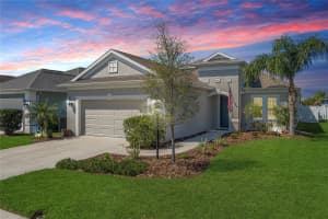 10914 BLUE MAGNOLIA LANE, PARRISH, FL 34219 - MLS#MFRA4641291