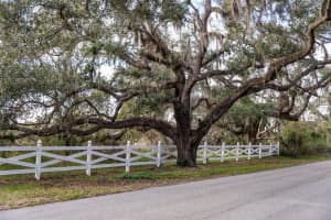1510 LENA LANE, SARASOTA, FL 34240 - MLS#MFRA4641358