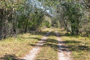1510 LENA LANE, SARASOTA, FL 34240 - MLS#MFRA4641358