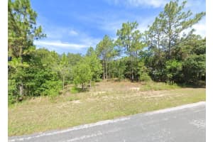 3814 EISENHOWER AVENUE, HERNANDO, FL 34442 Sold 03/28/25