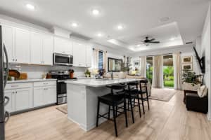 8619 FIREFLY PLACE, PARRISH, FL 34219 Sold 08/15/25
