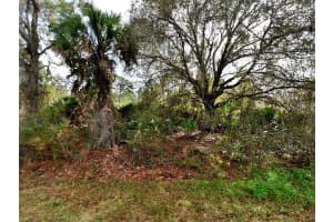 FLING AVE, NORTH PORT, FL 34291 Sold 11/14/25