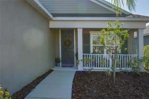 10919 BLUE MAGNOLIA LANE, PARRISH, FL 34219 - MLS#MFRA4642119