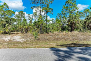 BASKET ST, NORTH PORT, FL 34288 Sold 05/09/25