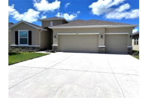 13393 Golden Lime Ave, SPRING HILL