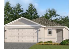 3707 Ambersweet Crossing, PARRISH