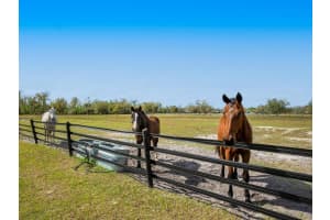 15101 RAWLS ROAD, SARASOTA, FL 34240 - MLS#MFRA4643403