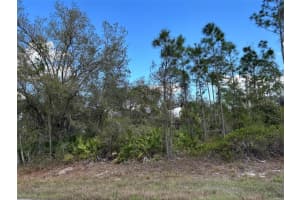 74 BALDUR DRIVE, PORT CHARLOTTE, FL 33954 - MLS#MFRA4643463