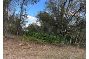 74 BALDUR DRIVE, PORT CHARLOTTE, FL 33954 - MLS#MFRA4643463