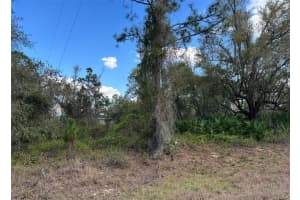 74 BALDUR DRIVE, PORT CHARLOTTE, FL 33954 - MLS#MFRA4643463