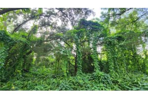 2201 GOLDENROD ROAD, ORLANDO, FL 32822 - MLS#MFRA4643796