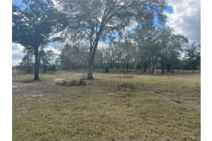 6766 264TH STREET, BRANFORD, FL 32008 - MLS#MFRA4644751