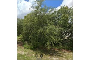 204 FLOUNDER PLACE, KISSIMMEE, FL 34759 Sold 06/02/25