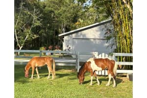 2070 59TH STREET, SARASOTA, FL 34243 - MLS#MFRA4645418