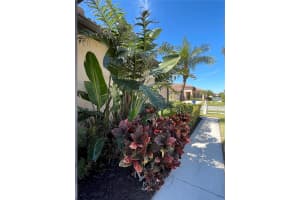 11331 BERTOLINI DRIVE, VENICE, FL 34292 - MLS#MFRA4645510
