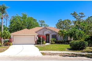 11419 Pine Lilly Pl, LAKEWOOD RANCH