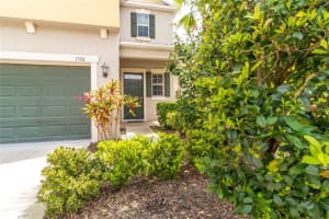 1570 LUDINGTON AVENUE, WESLEY CHAPEL, FL 33543 - MLS#MFRA4645649