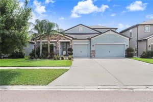 11421 CARLTON FIELDS DRIVE, RIVERVIEW, FL 33579 - MLS#MFRA4646349