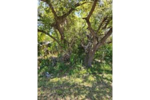 1 DE LEON DRIVE, NORTH PORT, FL 34287 - MLS#MFRA4646477