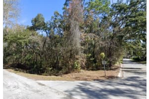 Lot 48 DECATUR AVENUE, BROOKSVILLE, FL 34601 - MLS#MFRA4646565