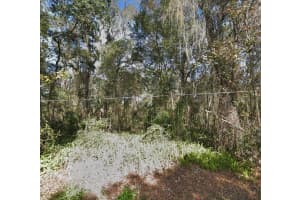 Lot 48 DECATUR AVENUE, BROOKSVILLE, FL 34601 - MLS#MFRA4646565