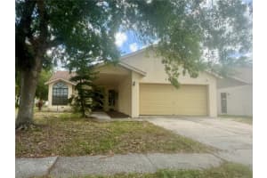 11318 BLACKBARK DRIVE, RIVERVIEW, FL 33579 Sold 05/16/25