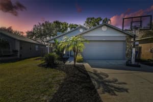 206 Bedford St, OLDSMAR