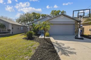 206 BEDFORD STREET, OLDSMAR, FL 34677 - MLS#MFRA4647616