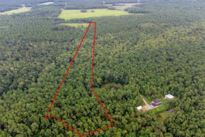 1971 OLD TRAIN ROAD, DELTONA, FL 32738 Sold 08/12/25