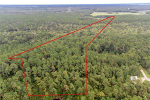 1971 OLD TRAIN ROAD, DELTONA, FL 32738 Sold 08/12/25
