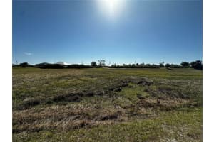 174 WRIGHT DRIVE, ROTONDA WEST, FL 33947 - MLS#MFRA4647908