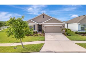 16341 LITTLE GARDEN DRIVE, WIMAUMA, FL 33598 - MLS#MFRA4648257