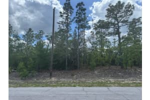 3000 LIZA PLACE, DUNNELLON, FL 34433 - MLS#MFRA4648598