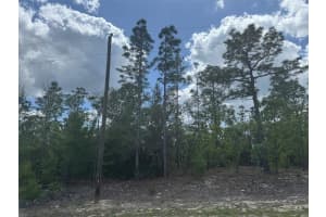 3000 LIZA PLACE, DUNNELLON, FL 34433 - MLS#MFRA4648598