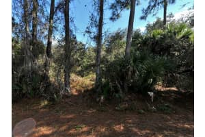 KENOSKA ST, NORTH PORT, FL 34288 - MLS#MFRA4649124