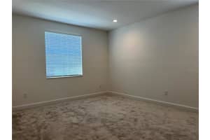3375 JUNIPER SPRINGS STREET, WESLEY CHAPEL, FL 33543 - MLS#MFRA4649242