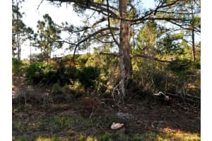 SCHOEN ST, NORTH PORT, FL 34291 - MLS#MFRA4649309