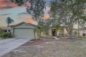 12805 Raysbrook Dr, RIVERVIEW