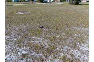 17154 SUGAR COURT, PUNTA GORDA, FL 33955 - MLS#MFRA4649985